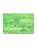 SO FLY Palette by MC Magic 💚🤎